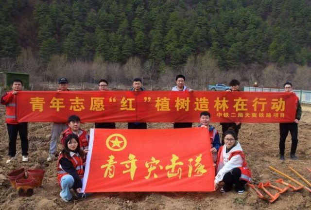 青年志愿“红”_植树造林在行动 图1