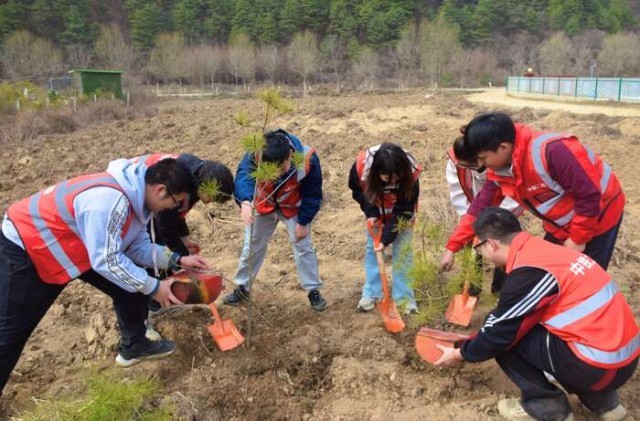 青年志愿“红”_植树造林在行动 图2