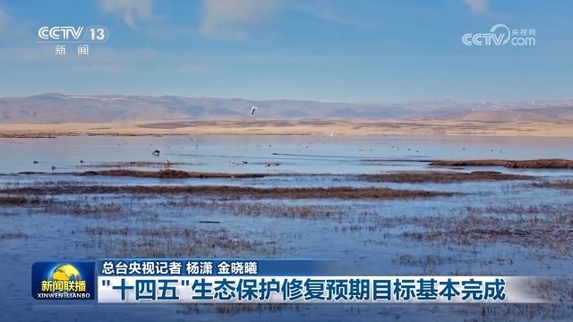 “十四五”生态保护修复预期目标基本完成 图2