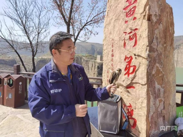 内蒙古爱鸟周启幕，守护全球3条迁飞通道 图1