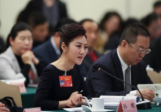 全国人大代表孙维推进媒体融合讲好一带一路新故事