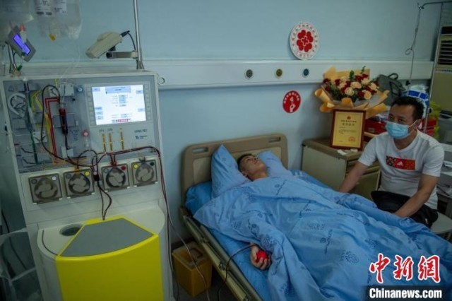 王浩臻正在进行造血干细胞采集，医生父亲(右)一直守在儿子身边提醒儿子不要紧张。　刘忠俊 摄