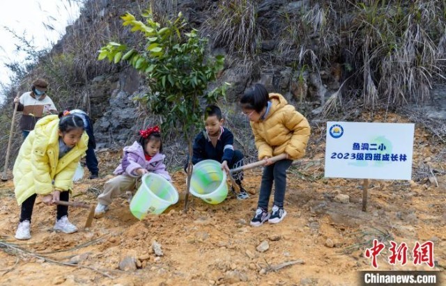 重庆：小学生植树为矿坑修复添新绿
