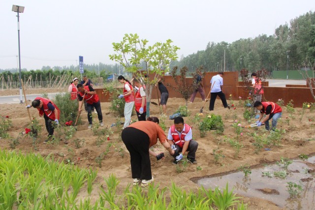 5��19�գ��¼������ֳ�һƬ��æ�������