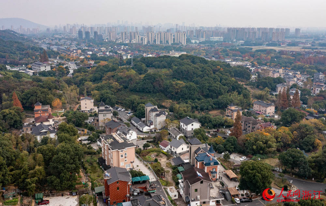 杭州市上城区丁兰街道皋城村，交通便捷，生态优美，构成一幅美丽的城乡新画卷。人民网 章勇涛摄