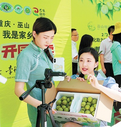 “村播志愿团队”，助力农产品出山 图3