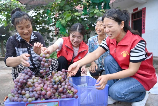 四川蓬安：“志愿红”解民忧_爱心助农促增收 图2