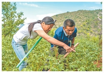 秦海松与村民们的“百家情”（暖相册） 图3