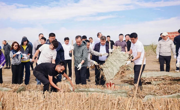 中国光华科技基金会公益治沙项目再添新力量_北汽集团治沙公益林在和田揭牌 图2