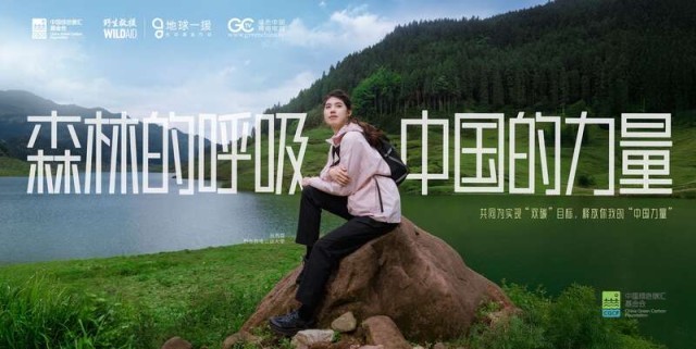 《森林的呼吸_中国的力量》公益宣传片发布 图1