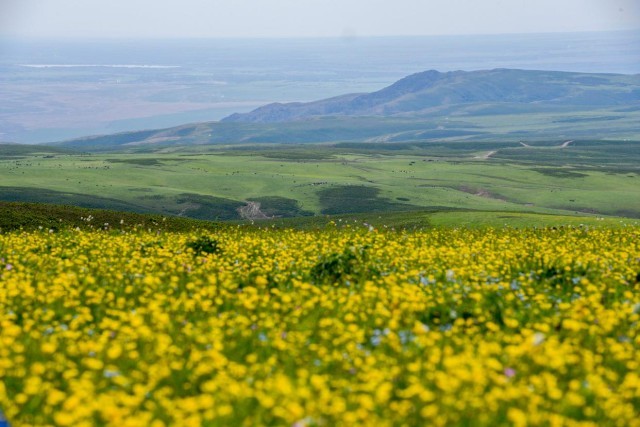 守护绿水青山：中国西北公益诉讼擦亮生态底色 图2