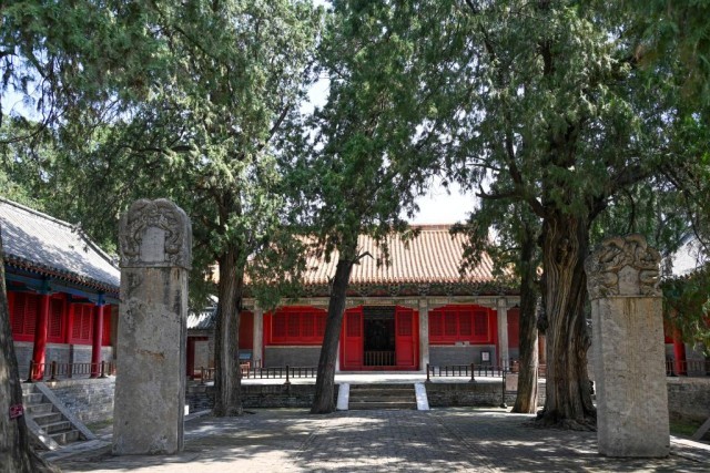 第一批“国保单位·古树名木”协同保护名录公布 图1