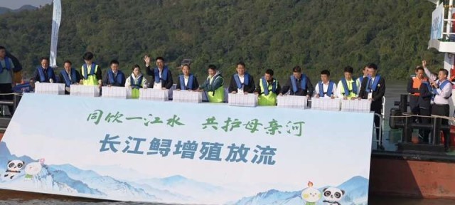 十万名川渝“河小青”志愿守护长江 图3