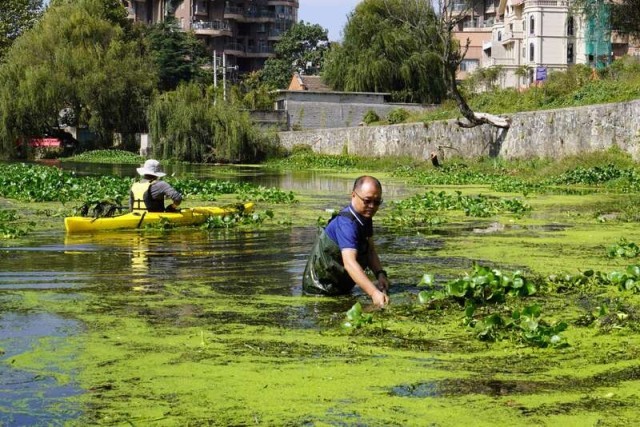 贵阳黔仁生态公益发展中心王吉勇：让贵州的每一条河流都开满海菜花 图2