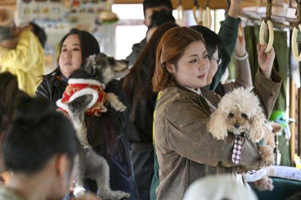 长春54路文旅专列开启_“萌宠友好”_模式 图1