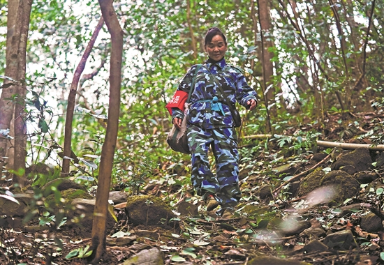 【图片故事】护林三十载_她视山林如家 图1