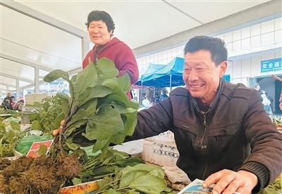 350余株葡萄苗串起两家人“向上人生”（援手） 图2