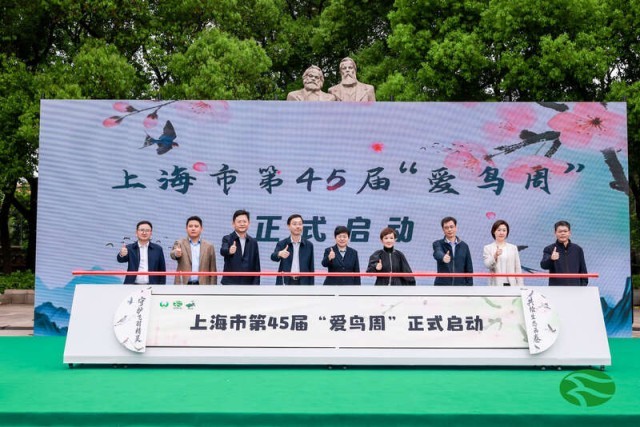 上海2025年记录到野生鸟类97万只次，创近十年新高 图1