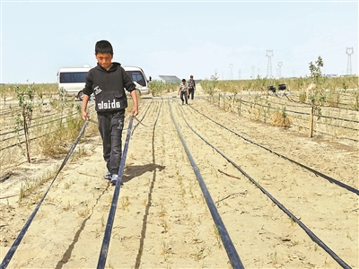 2026“从天坛到昆仑”主题采访活动走进和田 图1