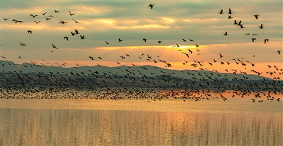 吉林珲春守护迁飞通道丰富多元业态 图1