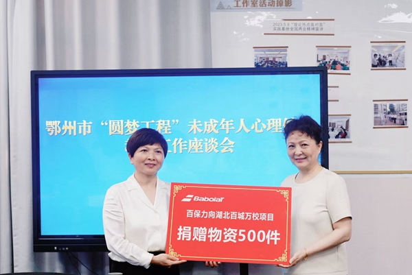 中国社会工作联合会副会长李羚赴鄂开展未成年人心理健康调研 图8