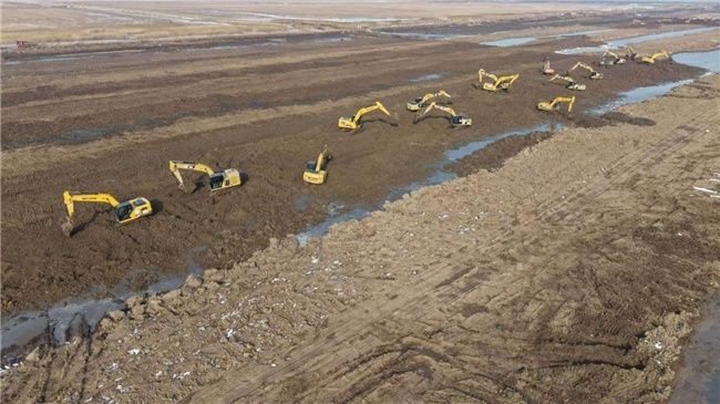 辽宁盘锦市海洋生态保护修复工程项目用心建好“候鸟之家” 图2