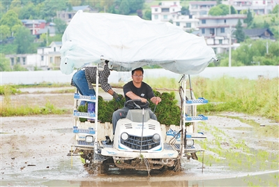 “读书见世面，就是为了更好建设家乡”（产业里的年轻人） 图1