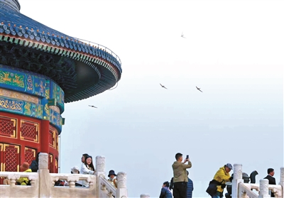 我在颐和园_守护燕归来 图12