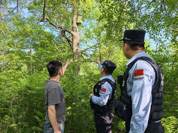 吉林白山“生态警务”让“守边”与“守绿”兼得 图2