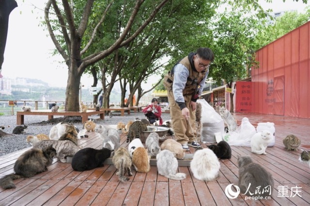 �����ϱ�·ө������èè������԰�������� ������