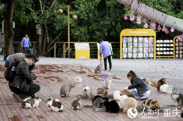 �ο�������è���������������� ���t��