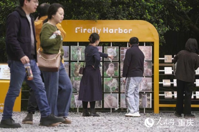 �����ϱ�·ө������èè������԰������������ ���t��