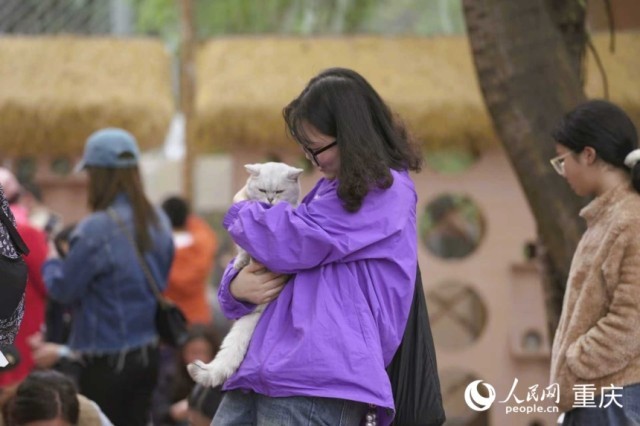 �ο�������è���������������� ���t��