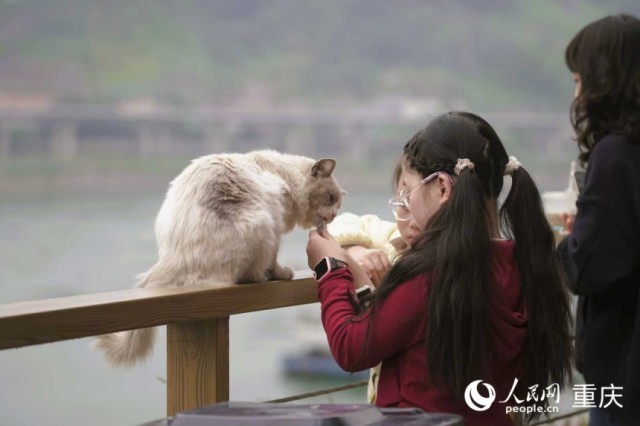 �ο�������è���������������� ���t��